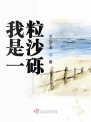 我是一粒沙是什么歌里的歌词
