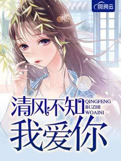 清风不知我爱你免费阅读