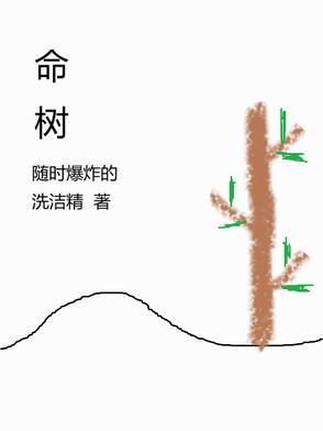 沉香桂为何是丧命树
