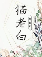 老白猫叨叨叨