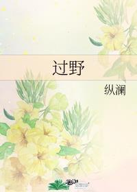 过野晋江
