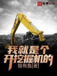 我是一个挖掘机视频