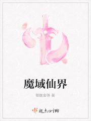魔域界师
