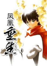 hp之凤凰重生免费阅读