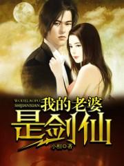 我的老婆是剑仙TXT