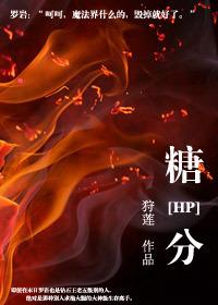 糖分txt