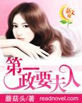 第一政要夫人陌骄阳全文免费阅读无弹窗