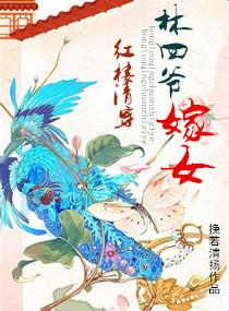 红楼清穿林家女