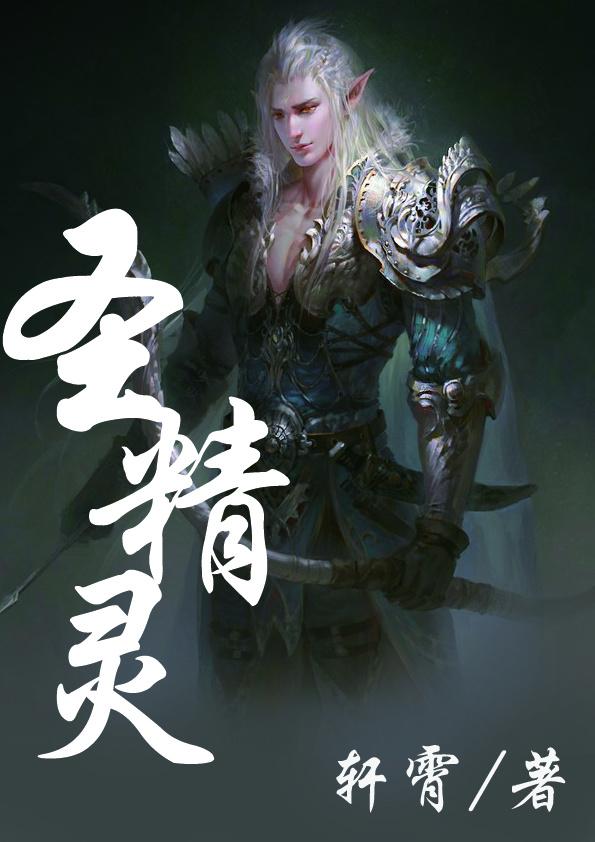 圣精灵之境最强队伍