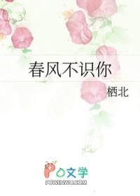 春风不相识上一句