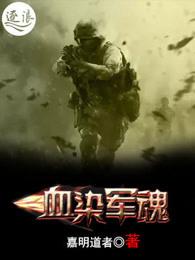 血染军魂全文免费阅读
