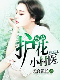 极品护花小村医免费阅读