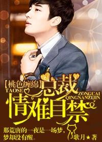 总裁情难自禁申子衿相似