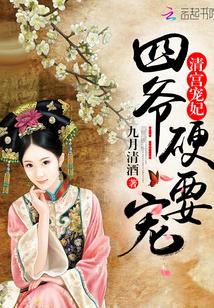 清宫四爷宠妾日常