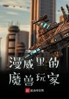 漫威里的魔兽玩家txt