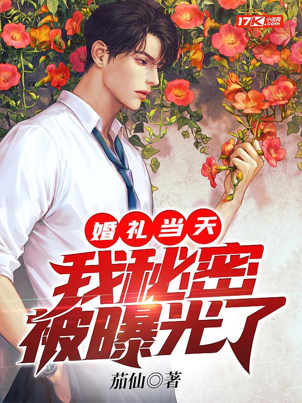 我秘密被曝光了 茄仙 免费